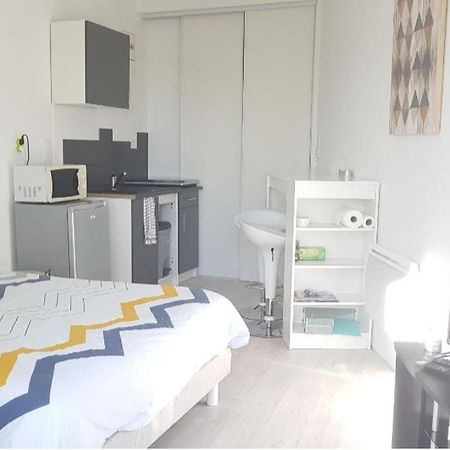 Апартаменти Studio Cozy Tout Confort Chez L'Habitant Ла-Рош-сюр-Іон Екстер'єр фото