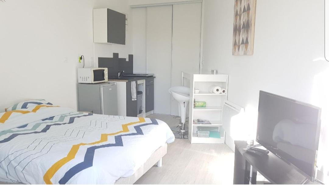 Апартаменти Studio Cozy Tout Confort Chez L'Habitant Ла-Рош-сюр-Іон Екстер'єр фото
